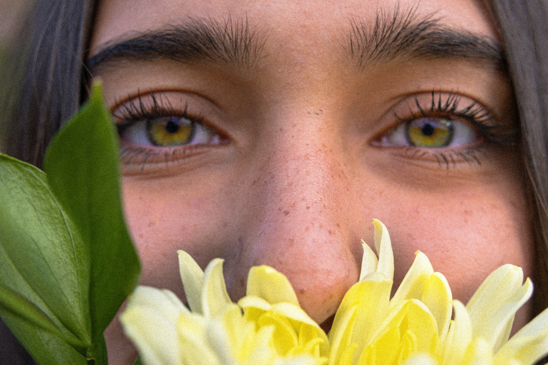 Close-up portrait of hazel eyes peeking over yellow flowers